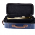 190M37X Professional Trumpet in Case