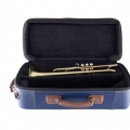 19072X Professional Trumpet in Case